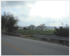  2025Ÿ��20452  ����