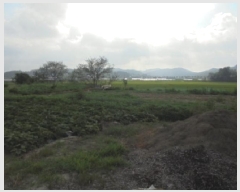  2025Ÿ��20452  ����