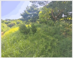 2025Ÿ��20466 �泲 �ο��� ���� �뼱�� 409      ����(��1)���
