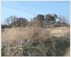  2025Ÿ347 泲   긮 212-1      (1)