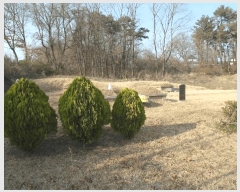  2025Ÿ347 泲   긮 212-1      (1)