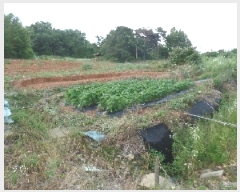  2025Ÿ347 泲   긮 212-1      (1)