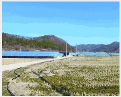  2025Ÿ378 泲  ̸  206-1      ()