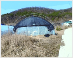  2025Ÿ378 泲  ̸  206-1      ()