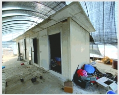  2025Ÿ378 泲  ̸  206-1      ()