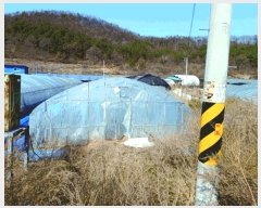  2025Ÿ378 泲  ̸  206-1      ()