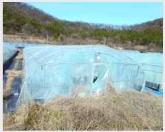  2025Ÿ378 泲  ̸  206-1      ()