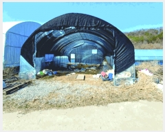  2025Ÿ378 泲  ̸  206-1      ()