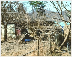  2025Ÿ��381  �Ӿ߰��