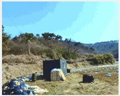  2025Ÿ��381  �Ӿ߰��