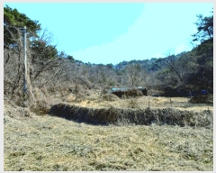  2025Ÿ��381  �Ӿ߰��