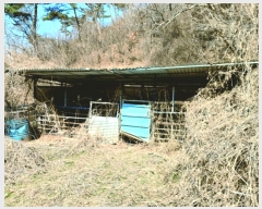  2025Ÿ��381  �Ӿ߰��