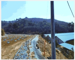  2025Ÿ��381  �Ӿ߰��