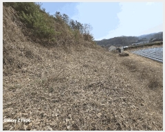  2025Ÿ384 泲   긮 268      (Ӿ)