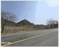  2025Ÿ384 泲   긮 268      (Ӿ)