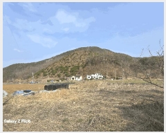  2025Ÿ384 泲   긮 268      (Ӿ)