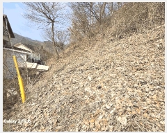  2025Ÿ384 泲   긮 268      (Ӿ)