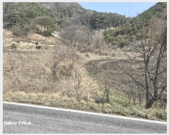  2025Ÿ384 泲   긮 268      (Ӿ)