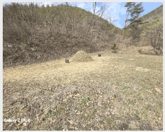  2025Ÿ384 泲   긮 268      (Ӿ)