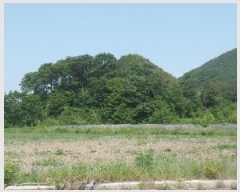  2025Ÿ384 泲   긮 268      (Ӿ)