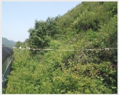  2025Ÿ384 泲   긮 268      (Ӿ)