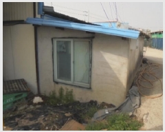  2025Ÿ��393 �泲 �ο��� �Ծϸ� �ݻ긮 262      ������