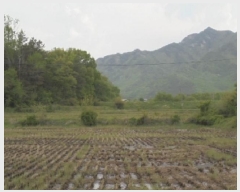  2025Ÿ��408  ����