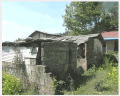  2025Ÿ��408 �泲 ����� ����� �󵵸� 261-2      ���(�󰡽ü�)���