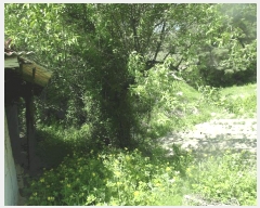  2025Ÿ��408 �泲 ����� ����� �󵵸� 261-2      ���(�󰡽ü�)���