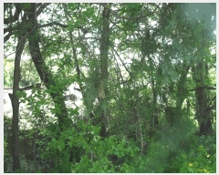  2025Ÿ��408 �泲 ����� ����� �󵵸� 261-2      ���(�󰡽ü�)���