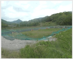  2025Ÿ��414  �������