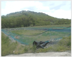  2025Ÿ��414  �������