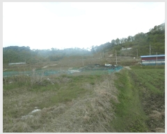  2025Ÿ��414  �������