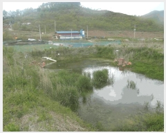  2025Ÿ��414  �������