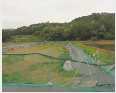  2025Ÿ��414  �������