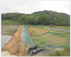  2025Ÿ��414  �������