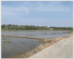  2025Ÿ��416 �泲 ����� ä��� ��ȭ�� 913      ����(��)���