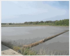  2025Ÿ��416 �泲 ����� ä��� ��ȭ�� 913      ����(��)���