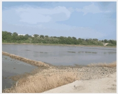  2025Ÿ��416 �泲 ����� ä��� ��ȭ�� 913      ����(��)���