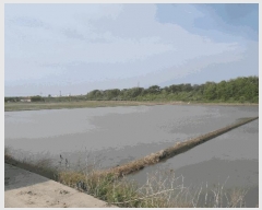  2025Ÿ��416 �泲 ����� ä��� ��ȭ�� 913      ����(��)���