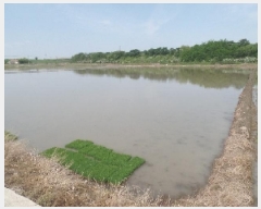  2025Ÿ��416 �泲 ����� ä��� ��ȭ�� 913      ����(��)���