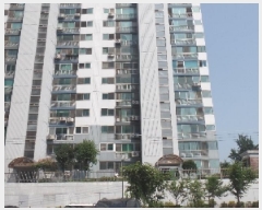  2025Ÿ��434 �泲 ����� ������ ���긮 903-17 ������Ʈ 102�� 8��805ȣ   ����Ʈ���