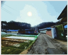  2025Ÿ��20167  ���ð��