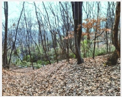  2025Ÿ��20167  ���ð��