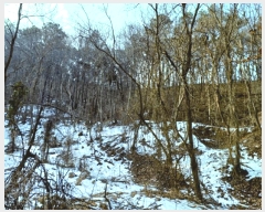  2025Ÿ��20167  ���ð��