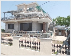  2025Ÿ20247 泲    459-5      ð