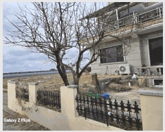  2025Ÿ20247 泲    459-5      ð