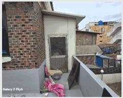  2025Ÿ20252 泲  â 314-17       ð