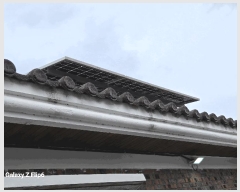  2025Ÿ20252 泲  â 314-17       ð