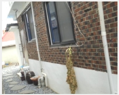  2025Ÿ20252 泲  â 314-17       ð